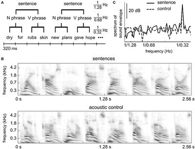 Characterizing Neural Entrainment to Hierarchical Linguistic Units using Electroencephalography (EEG)